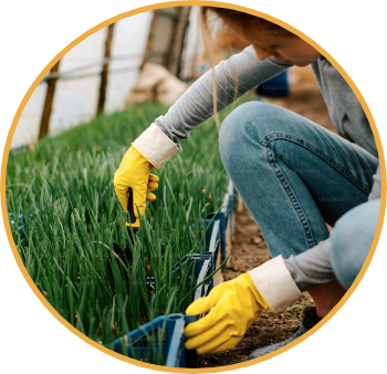Martinez Lawncare team working on a residential property in the Twin Cities