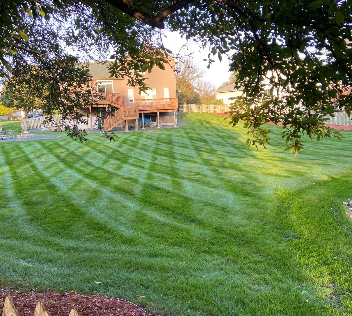 Freshly mowed lawn with stripe pattern in residential yard in St. Paul