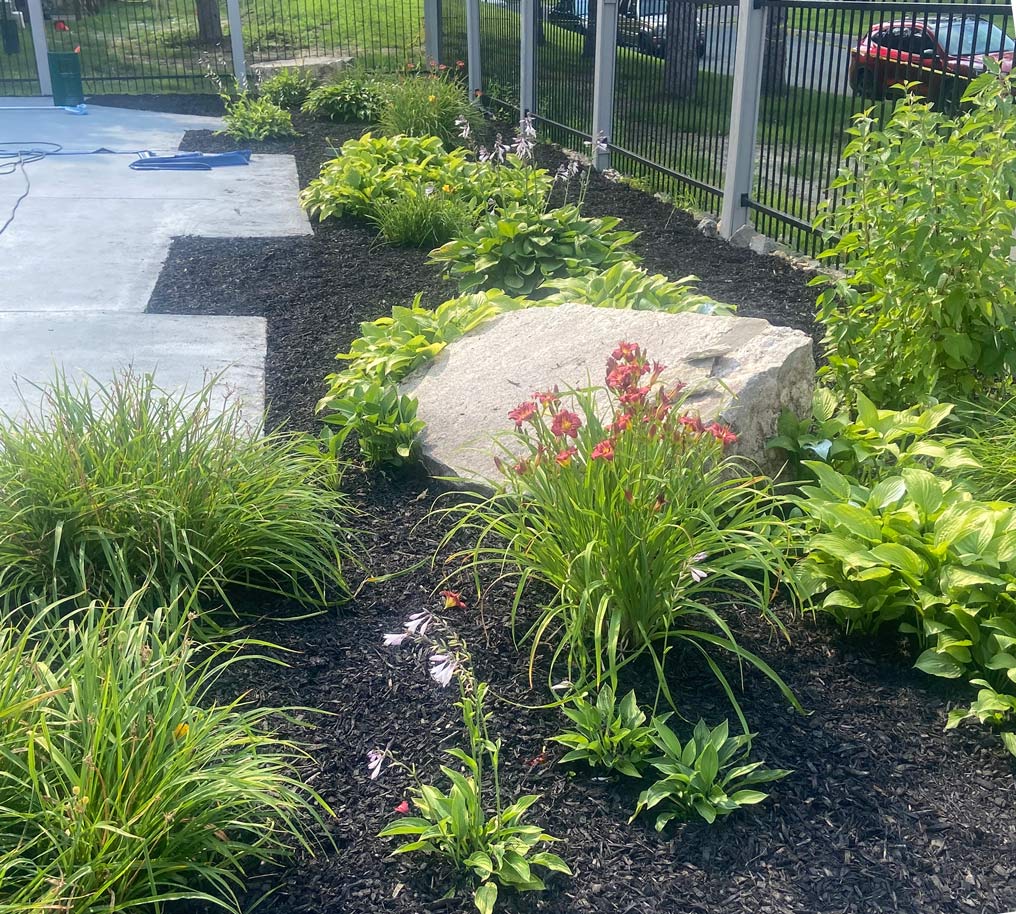 Clean landscaped yard after lawncare service in St. Paul