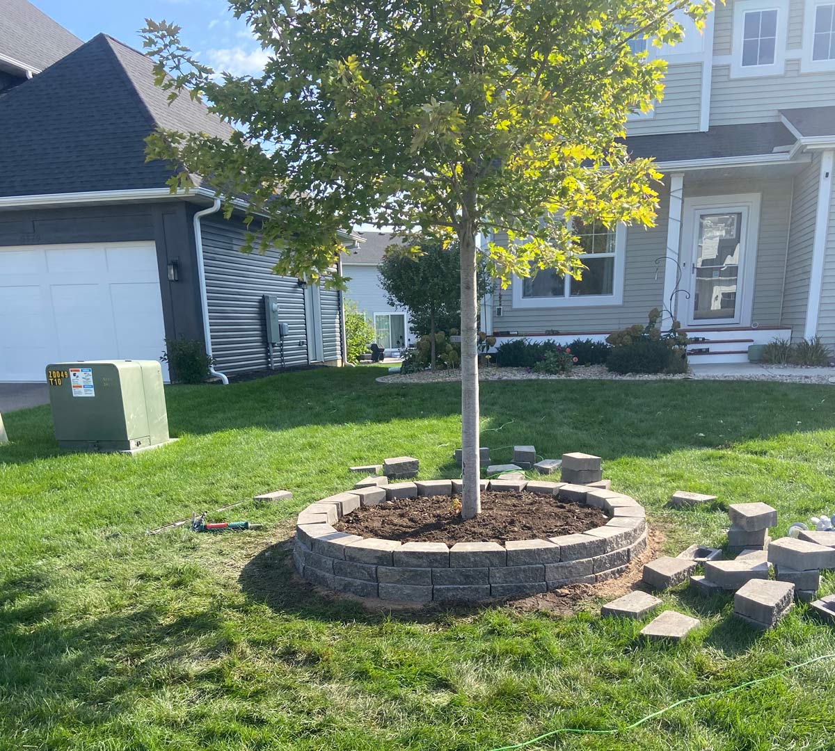 Tree ring installation before completion in residential yard in St. Paul