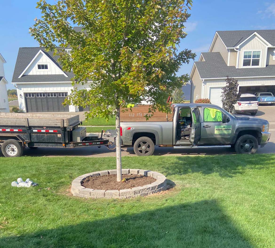 Finished tree ring landscaping with clean yard in St. Paul